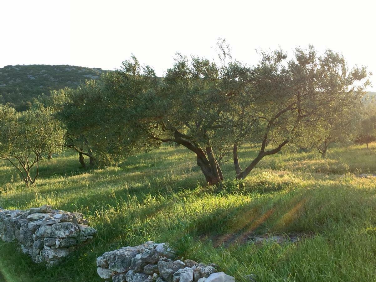 Lavanda Tribunj  Bagian luar foto